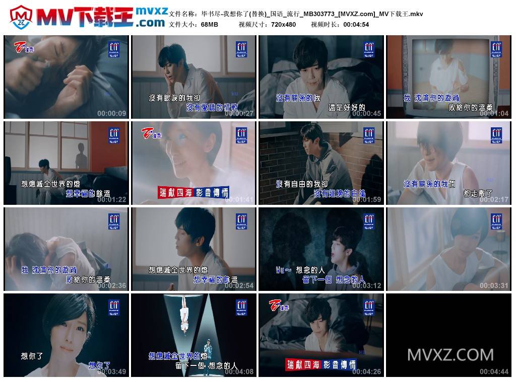 毕书尽-我想你了(替换)_国语_流行_MB303773